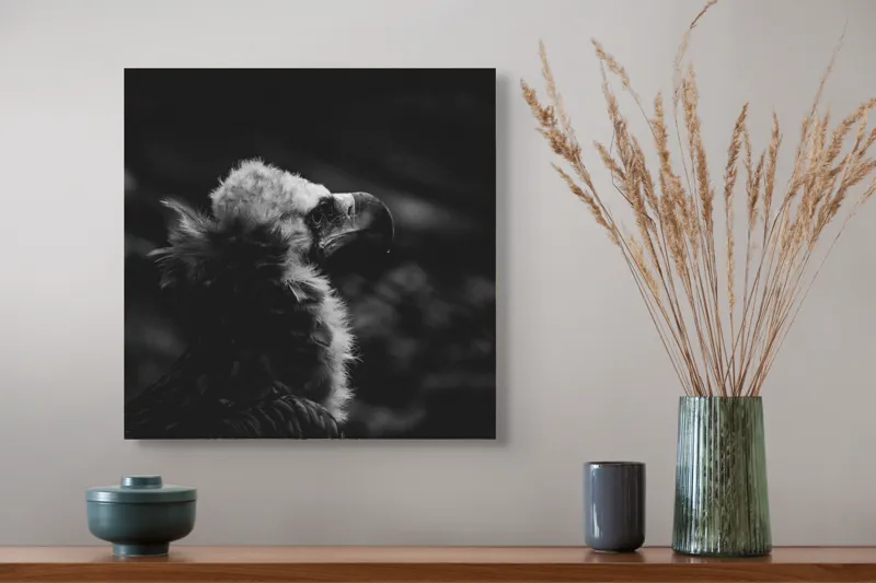 Tablou Canvas, "Vulturul în umbra tăcerii negre", Majestic, Solitary, Noble, Mysterious, Regal, 50 x 50 cm – poza 4