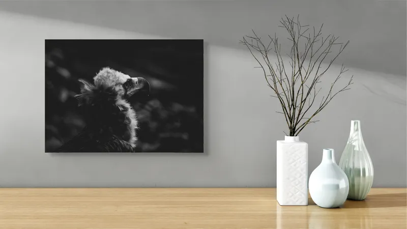 Tablou Canvas, "Vulturul în umbra tăcerii negre", Majestic, Solitary, Noble, Mysterious, Regal, 54 x 39 cm – poza 3
