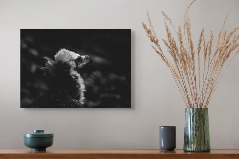 Tablou Canvas, "Vulturul în umbra tăcerii negre", Majestic, Solitary, Noble, Mysterious, Regal, 54 x 39 cm – poza 4