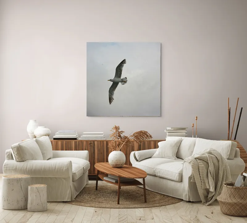 Tablou Canvas, "Zborul liniștit al pescărușului alb", Pescăruș, Cer, Zbor, Aripi, Libertate, Nor, Natură, Liniște, 100 x 100 cm – poza 3