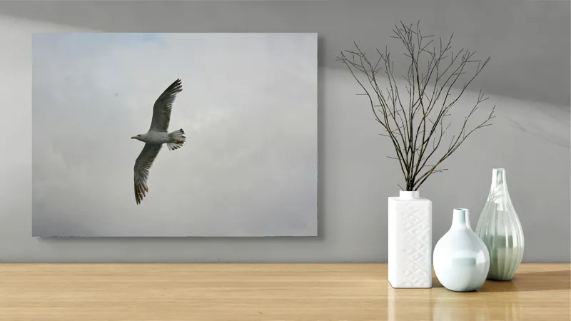 Tablou Canvas, "Zborul liniștit al pescărușului alb", Pescăruș, Cer, Zbor, Aripi, Libertate, Nor, Natură, Liniște, 70 x 50 cm – poza 3