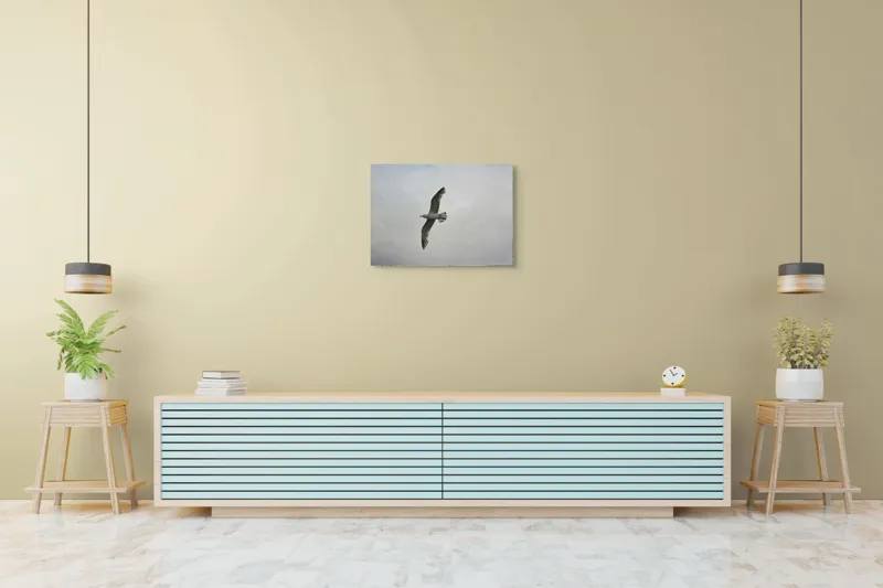 Tablou Canvas, "Zborul liniștit al pescărușului alb", Pescăruș, Cer, Zbor, Aripi, Libertate, Nor, Natură, Liniște, 70 x 50 cm – poza 7