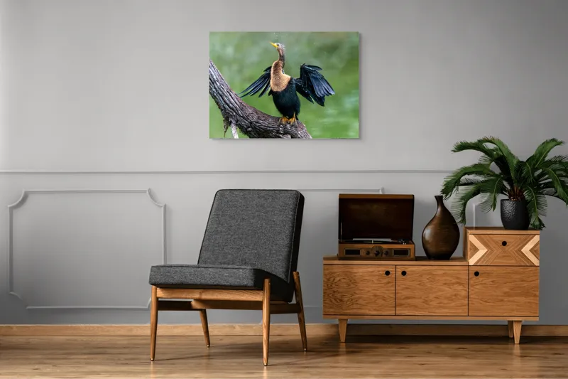 Tablou Canvas, "Cormoranul scuturându-se după ploaie", Pasăre, Aripi, Apă, Trunchi, Verde, Penaj, Textură, Natură., 100 x 70 cm – poza 8