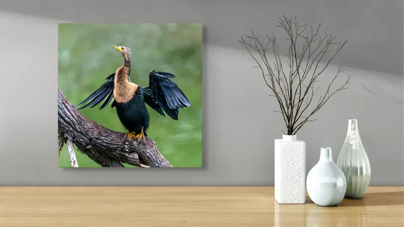 Tablou Canvas, "Cormoranul scuturându-se după ploaie", Pasăre, Aripi, Apă, Trunchi, Verde, Penaj, Textură, Natură., 50 x 50 cm – poza 3