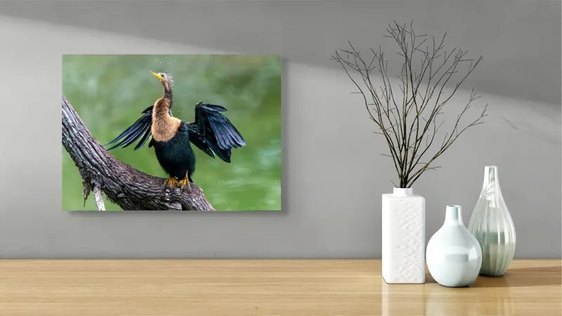 Tablou Canvas, "Cormoranul scuturându-se după ploaie", Pasăre, Aripi, Apă, Trunchi, Verde, Penaj, Textură, Natură., 54 x 39 cm – poza 3