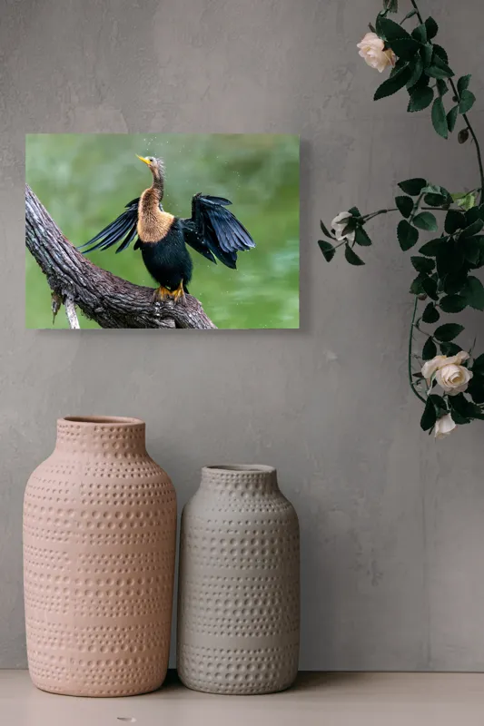 Tablou Canvas, "Cormoranul scuturându-se după ploaie", Pasăre, Aripi, Apă, Trunchi, Verde, Penaj, Textură, Natură., 54 x 39 cm – poza 8