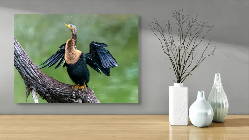 Tablou Canvas, "Cormoranul scuturându-se după ploaie", Pasăre, Aripi, Apă, Trunchi, Verde, Penaj, Textură, Natură., 70 x 50 cm – poza 3