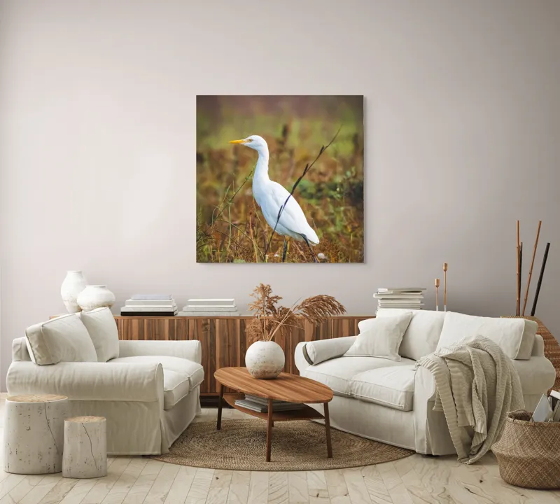 Tablou Canvas, "Egreta în câmpul ruginiu de toamnă", Pene, Eleganță, Natură, Solitar, Observare, Serenitate, Claritate, Liniște, 100 x 100 cm – poza 3