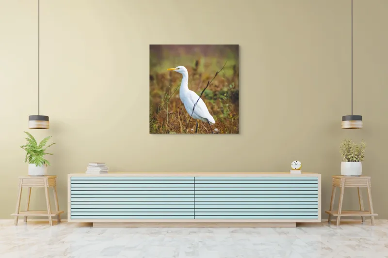 Tablou Canvas, "Egreta în câmpul ruginiu de toamnă", Pene, Eleganță, Natură, Solitar, Observare, Serenitate, Claritate, Liniște, 100 x 100 cm – poza 5