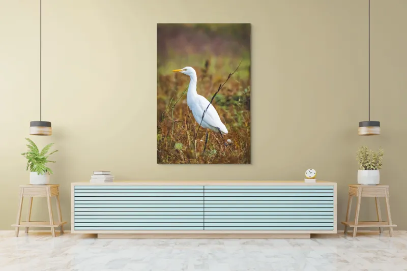 Tablou Canvas, "Egreta în câmpul ruginiu de toamnă", Pene, Eleganță, Natură, Solitar, Observare, Serenitate, Claritate, Liniște, 100 x 150 cm – poza 4