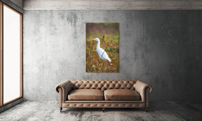 Tablou Canvas, "Egreta în câmpul ruginiu de toamnă", Pene, Eleganță, Natură, Solitar, Observare, Serenitate, Claritate, Liniște, 100 x 150 cm – poza 6