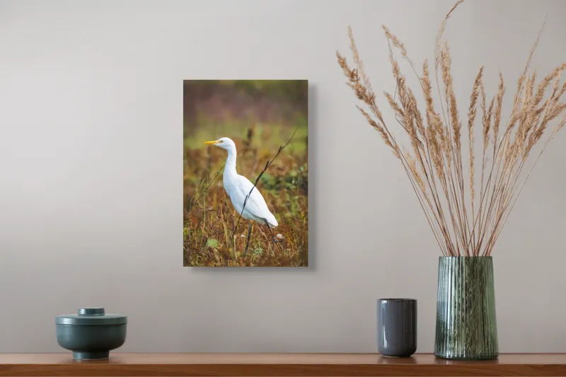 Tablou Canvas, "Egreta în câmpul ruginiu de toamnă", Pene, Eleganță, Natură, Solitar, Observare, Serenitate, Claritate, Liniște, 26 x 39 cm – poza 5