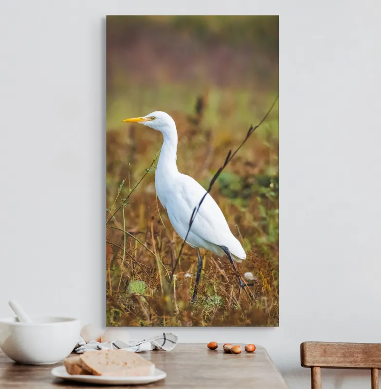 Tablou Canvas, "Egreta în câmpul ruginiu de toamnă", Pene, Eleganță, Natură, Solitar, Observare, Serenitate, Claritate, Liniște, 50 x 90 cm – poza 3