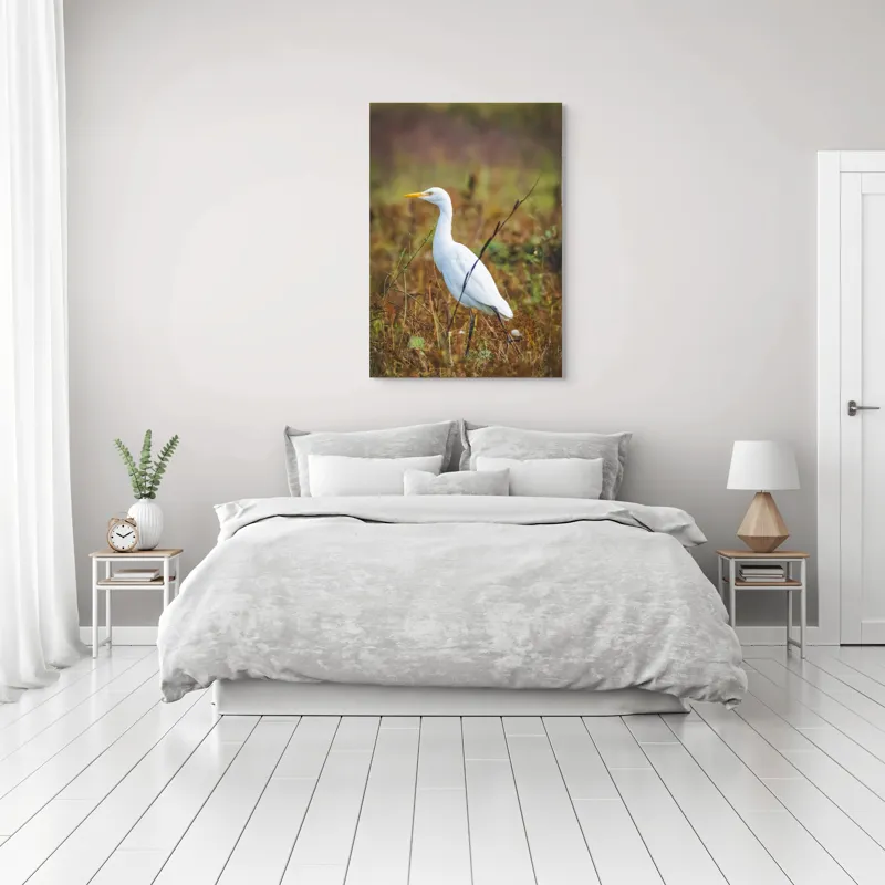 Tablou Canvas, "Egreta în câmpul ruginiu de toamnă", Pene, Eleganță, Natură, Solitar, Observare, Serenitate, Claritate, Liniște, 70 x 100 cm – poza 3