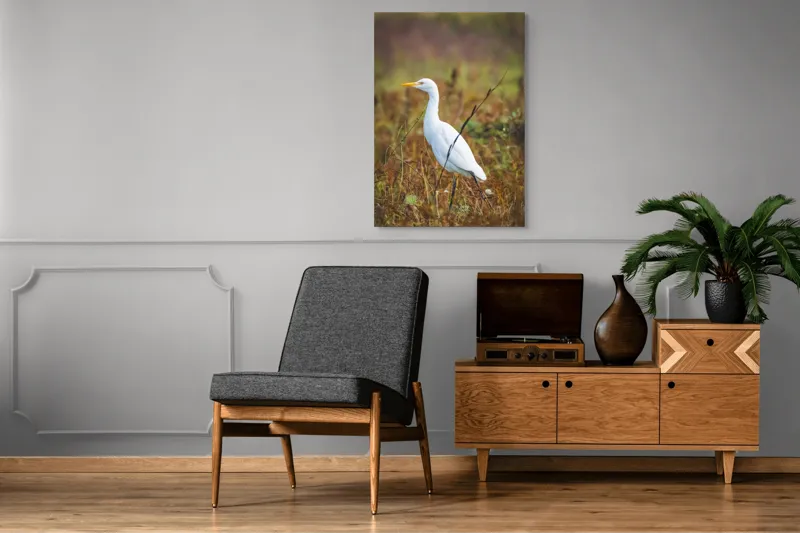 Tablou Canvas, "Egreta în câmpul ruginiu de toamnă", Pene, Eleganță, Natură, Solitar, Observare, Serenitate, Claritate, Liniște, 70 x 100 cm – poza 6