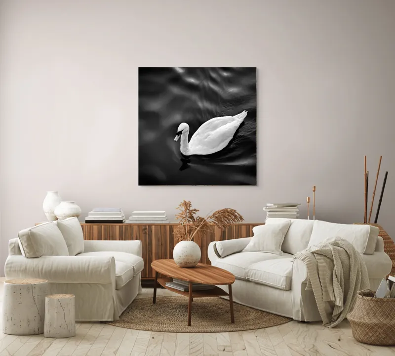 Tablou Canvas, "Lebăda singuratică pe apă liniștită", Graziozitate, Eleganță, Liniște, Contrast, Reflecție, Armonie, Serenitate, 100 x 100 cm – poza 3