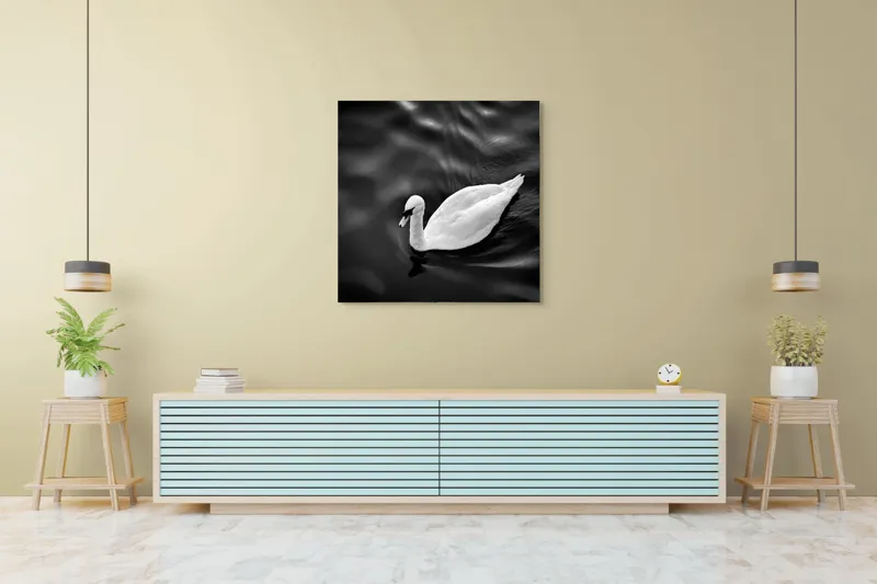 Tablou Canvas, "Lebăda singuratică pe apă liniștită", Graziozitate, Eleganță, Liniște, Contrast, Reflecție, Armonie, Serenitate, 100 x 100 cm – poza 5