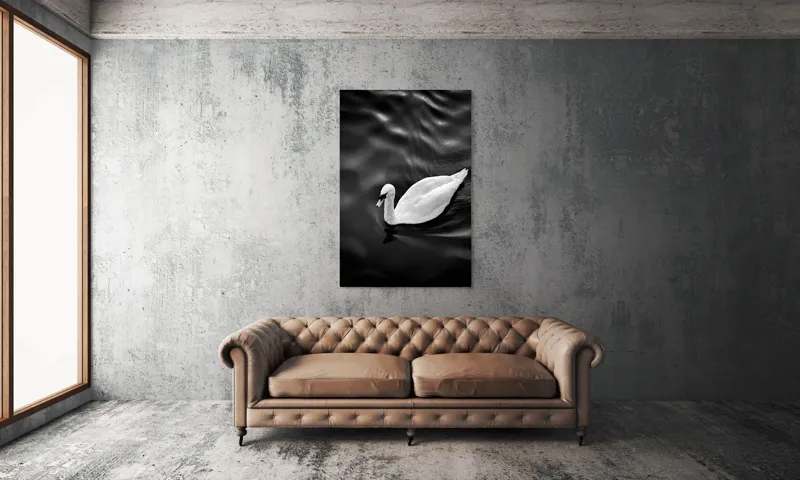 Tablou Canvas, "Lebăda singuratică pe apă liniștită", Graziozitate, Eleganță, Liniște, Contrast, Reflecție, Armonie, Serenitate, 100 x 150 cm – poza 6