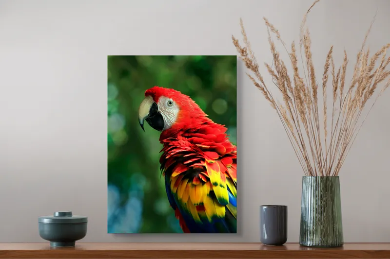 Tablou Canvas, "Papagalul curcubeu în pădurea tropicală", Colorat, Papagal, Roșu, Verde, Penaj, Natură, Exotism, Frumusețe, 39 x 54 cm – poza 3