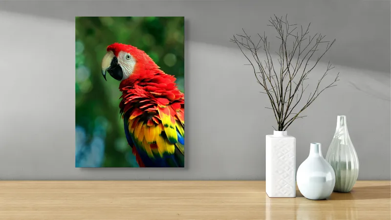 Tablou Canvas, "Papagalul curcubeu în pădurea tropicală", Colorat, Papagal, Roșu, Verde, Penaj, Natură, Exotism, Frumusețe, 39 x 54 cm – poza 4