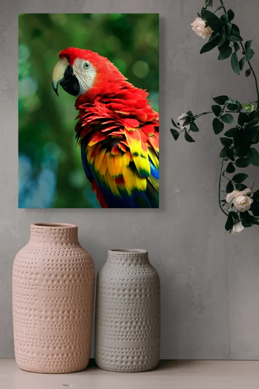 Tablou Canvas, "Papagalul curcubeu în pădurea tropicală", Colorat, Papagal, Roșu, Verde, Penaj, Natură, Exotism, Frumusețe, 39 x 54 cm – poza 6
