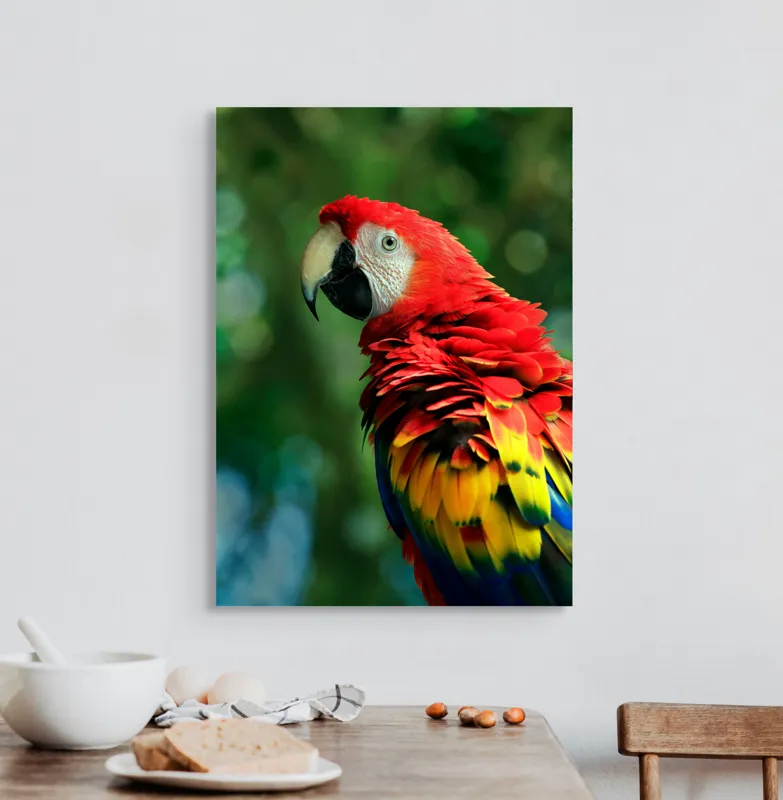 Tablou Canvas, "Papagalul curcubeu în pădurea tropicală", Colorat, Papagal, Roșu, Verde, Penaj, Natură, Exotism, Frumusețe, 50 x 70 cm – poza 3