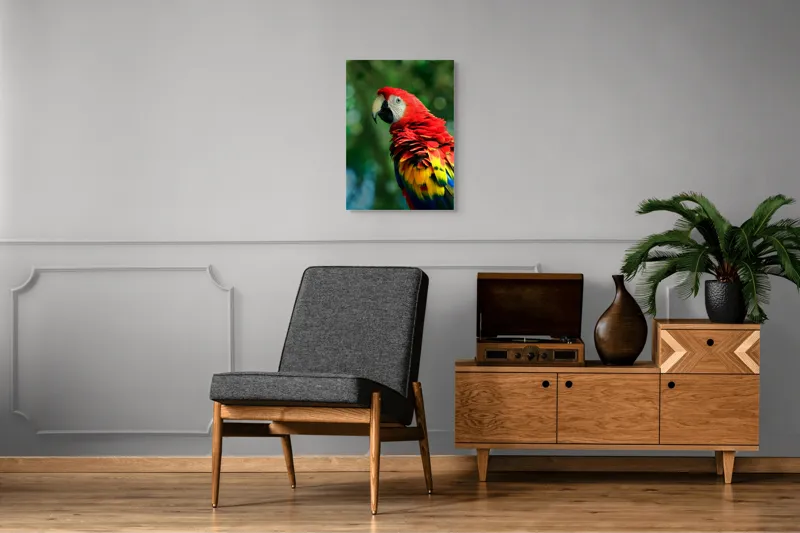 Tablou Canvas, "Papagalul curcubeu în pădurea tropicală", Colorat, Papagal, Roșu, Verde, Penaj, Natură, Exotism, Frumusețe, 50 x 70 cm – poza 8