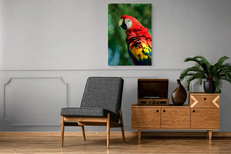 Tablou Canvas, "Papagalul curcubeu în pădurea tropicală", Colorat, Papagal, Roșu, Verde, Penaj, Natură, Exotism, Frumusețe, 70 x 100 cm – poza 6
