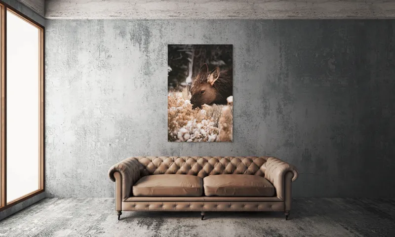 Tablou Canvas, "Iarna și liniștea căprioarei păscând", Urs, Zăpadă, Blană, Natură, Iarnă, Nas, Plante, Frig, Linie, Ochi, Colorat, Peisaj, Liniște, Studio, Frumusețe, Atingere, 100 x 150 cm – poza 6