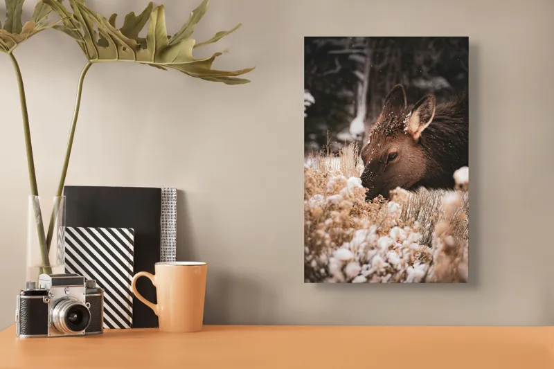 Tablou Canvas, "Iarna și liniștea căprioarei păscând", Urs, Zăpadă, Blană, Natură, Iarnă, Nas, Plante, Frig, Linie, Ochi, Colorat, Peisaj, Liniște, Studio, Frumusețe, Atingere, 26 x 39 cm – poza 3