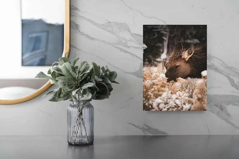 Tablou Canvas, "Iarna și liniștea căprioarei păscând", Urs, Zăpadă, Blană, Natură, Iarnă, Nas, Plante, Frig, Linie, Ochi, Colorat, Peisaj, Liniște, Studio, Frumusețe, Atingere, 26 x 39 cm – poza 4