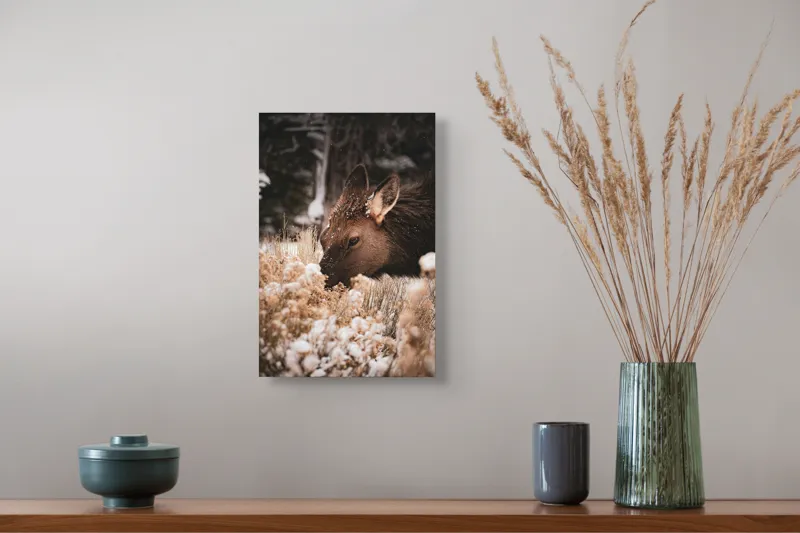Tablou Canvas, "Iarna și liniștea căprioarei păscând", Urs, Zăpadă, Blană, Natură, Iarnă, Nas, Plante, Frig, Linie, Ochi, Colorat, Peisaj, Liniște, Studio, Frumusețe, Atingere, 26 x 39 cm – poza 5