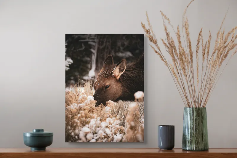 Tablou Canvas, "Iarna și liniștea căprioarei păscând", Urs, Zăpadă, Blană, Natură, Iarnă, Nas, Plante, Frig, Linie, Ochi, Colorat, Peisaj, Liniște, Studio, Frumusețe, Atingere, 39 x 54 cm – poza 3