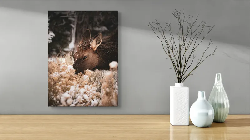 Tablou Canvas, "Iarna și liniștea căprioarei păscând", Urs, Zăpadă, Blană, Natură, Iarnă, Nas, Plante, Frig, Linie, Ochi, Colorat, Peisaj, Liniște, Studio, Frumusețe, Atingere, 39 x 54 cm – poza 4