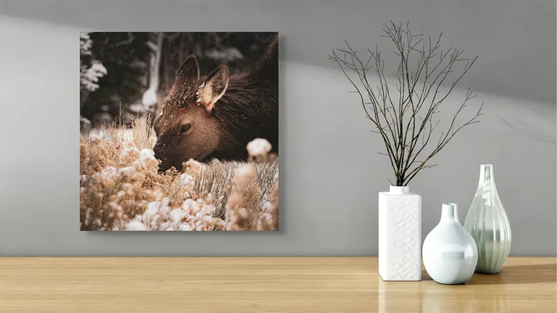 Tablou Canvas, "Iarna și liniștea căprioarei păscând", Urs, Zăpadă, Blană, Natură, Iarnă, Nas, Plante, Frig, Linie, Ochi, Colorat, Peisaj, Liniște, Studio, Frumusețe, Atingere, 50 x 50 cm – poza 3