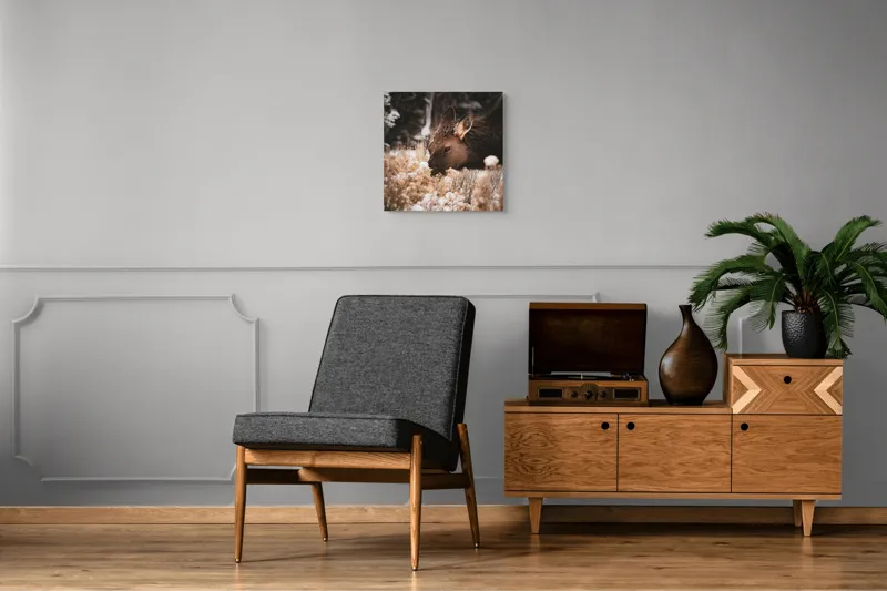 Tablou Canvas, "Iarna și liniștea căprioarei păscând", Urs, Zăpadă, Blană, Natură, Iarnă, Nas, Plante, Frig, Linie, Ochi, Colorat, Peisaj, Liniște, Studio, Frumusețe, Atingere, 50 x 50 cm – poza 6