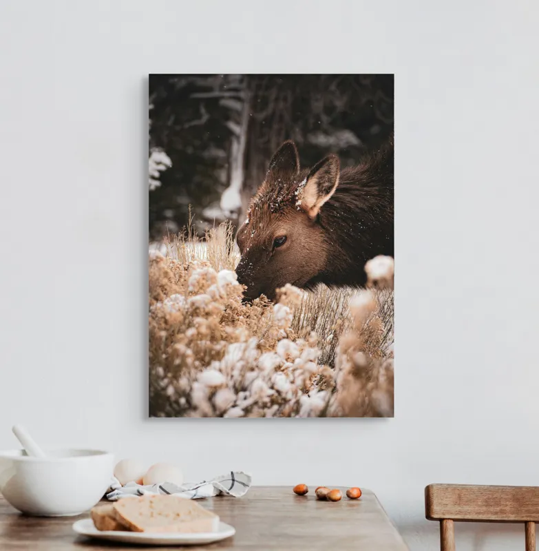 Tablou Canvas, "Iarna și liniștea căprioarei păscând", Urs, Zăpadă, Blană, Natură, Iarnă, Nas, Plante, Frig, Linie, Ochi, Colorat, Peisaj, Liniște, Studio, Frumusețe, Atingere, 50 x 70 cm – poza 3