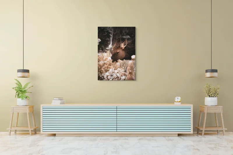 Tablou Canvas, "Iarna și liniștea căprioarei păscând", Urs, Zăpadă, Blană, Natură, Iarnă, Nas, Plante, Frig, Linie, Ochi, Colorat, Peisaj, Liniște, Studio, Frumusețe, Atingere, 70 x 100 cm – poza 5