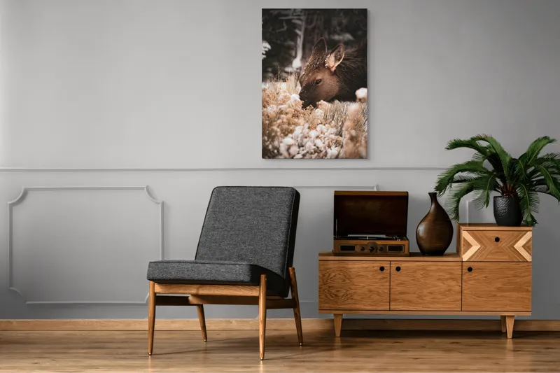 Tablou Canvas, "Iarna și liniștea căprioarei păscând", Urs, Zăpadă, Blană, Natură, Iarnă, Nas, Plante, Frig, Linie, Ochi, Colorat, Peisaj, Liniște, Studio, Frumusețe, Atingere, 70 x 100 cm – poza 6
