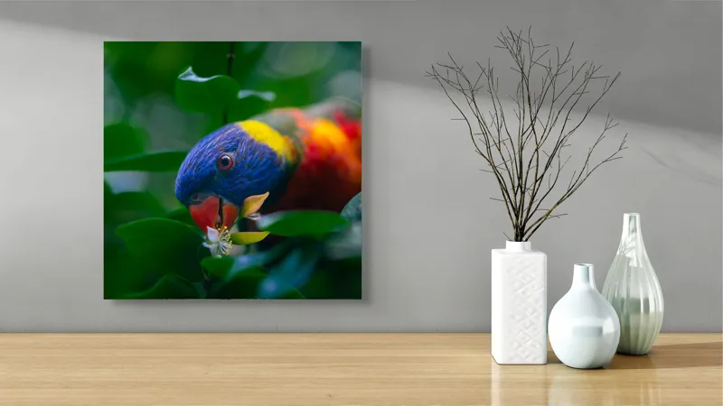 Tablou Canvas, "Papagal colorat printre frunze verzi", Colorat, Exuberant, Păsărească, Natură, Verdeață, Floră, Strălucire, Vivacitate, Junglă, Zvelt., 50 x 50 cm – poza 3