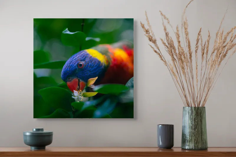 Tablou Canvas, "Papagal colorat printre frunze verzi", Colorat, Exuberant, Păsărească, Natură, Verdeață, Floră, Strălucire, Vivacitate, Junglă, Zvelt., 50 x 50 cm – poza 4