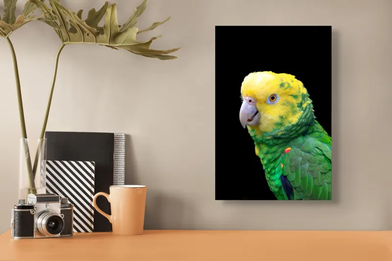Tablou Canvas, "Papagal verde cu penaj strălucitor", Colorat, Vibrant, Exotic, Grațios, Amuzant, Penaj, Tropical, Privire, Dinamic, Nuanțe, 26 x 39 cm – poza 3
