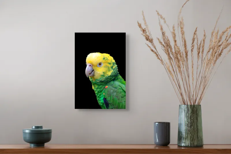 Tablou Canvas, "Papagal verde cu penaj strălucitor", Colorat, Vibrant, Exotic, Grațios, Amuzant, Penaj, Tropical, Privire, Dinamic, Nuanțe, 26 x 39 cm – poza 5