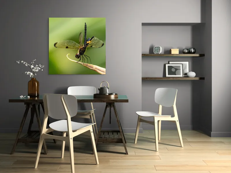 Tablou Canvas, "Libelula în echilibru pe vârfuri verzi", Libelulă, Grațioasă, Natură, Aripi, Lumină, Verde, Delicat, Fragil, Fotografie, Detaliu, 100 x 100 cm – poza 6