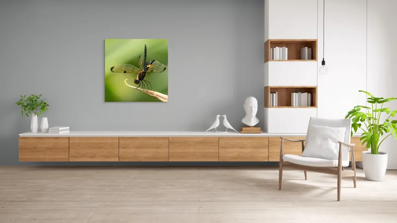 Tablou Canvas, "Libelula în echilibru pe vârfuri verzi", Libelulă, Grațioasă, Natură, Aripi, Lumină, Verde, Delicat, Fragil, Fotografie, Detaliu, 100 x 100 cm – poza 8