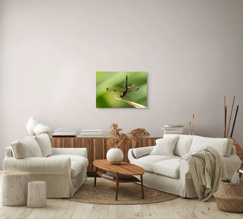 Tablou Canvas, "Libelula în echilibru pe vârfuri verzi", Libelulă, Grațioasă, Natură, Aripi, Lumină, Verde, Delicat, Fragil, Fotografie, Detaliu, 70 x 50 cm – poza 6