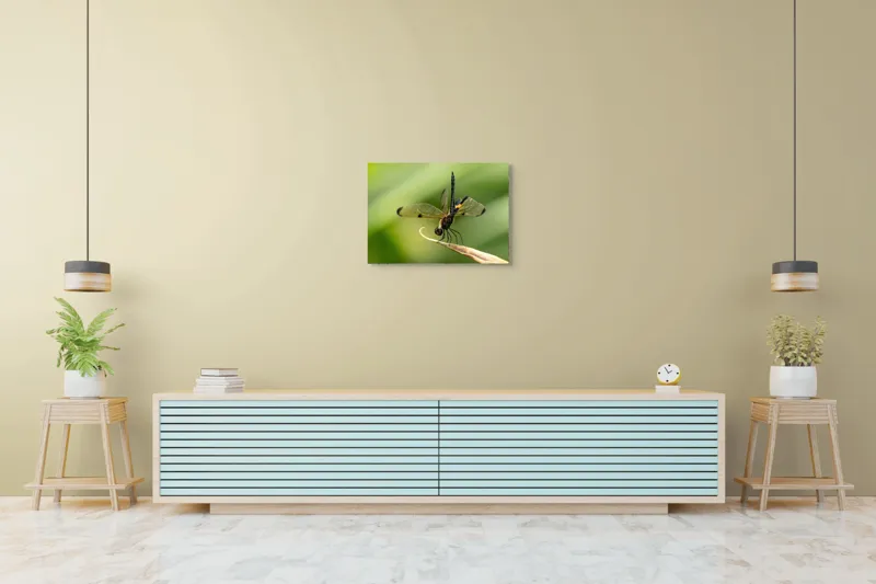 Tablou Canvas, "Libelula în echilibru pe vârfuri verzi", Libelulă, Grațioasă, Natură, Aripi, Lumină, Verde, Delicat, Fragil, Fotografie, Detaliu, 70 x 50 cm – poza 7