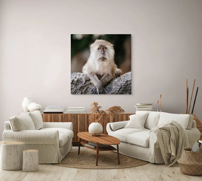 Tablou Canvas, "Maimuța contemplând lumea din jur", Nu pot identifica animale sau oameni în imagini., 100 x 100 cm – poza 3