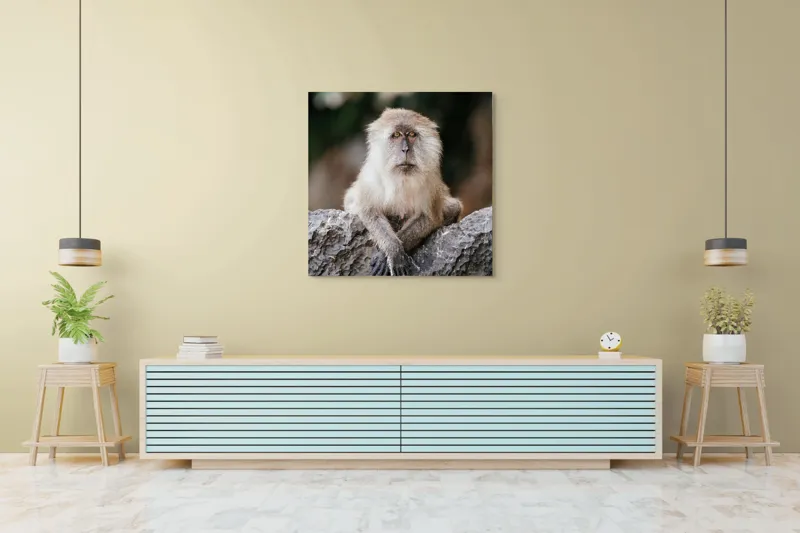 Tablou Canvas, "Maimuța contemplând lumea din jur", Nu pot identifica animale sau oameni în imagini., 100 x 100 cm – poza 5