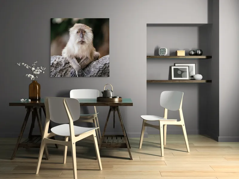Tablou Canvas, "Maimuța contemplând lumea din jur", Nu pot identifica animale sau oameni în imagini., 100 x 100 cm – poza 6